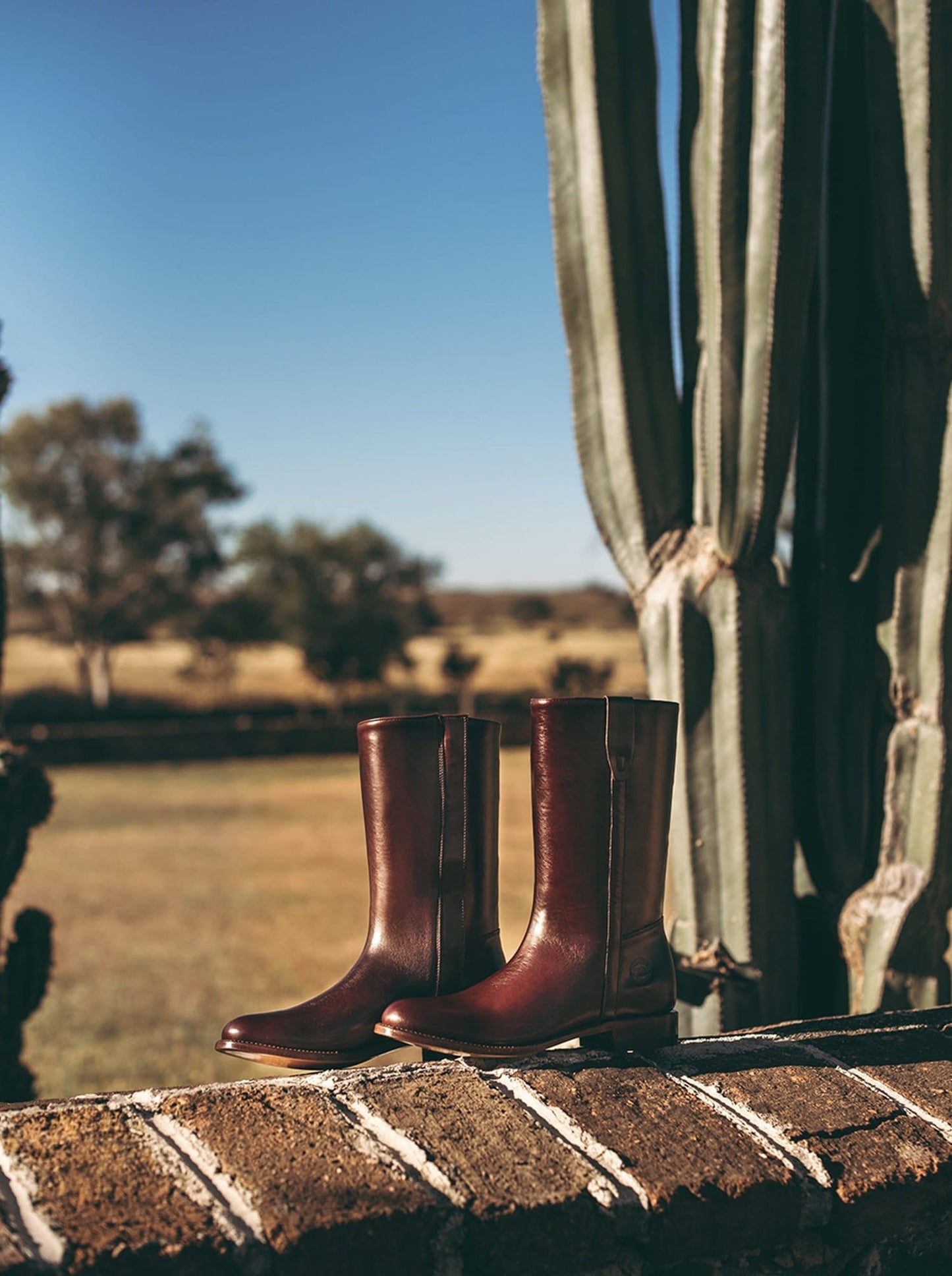 SIETELEGUAS ESPAÑOLA 3061 SHEDRON - PACHECO BOOT CO
