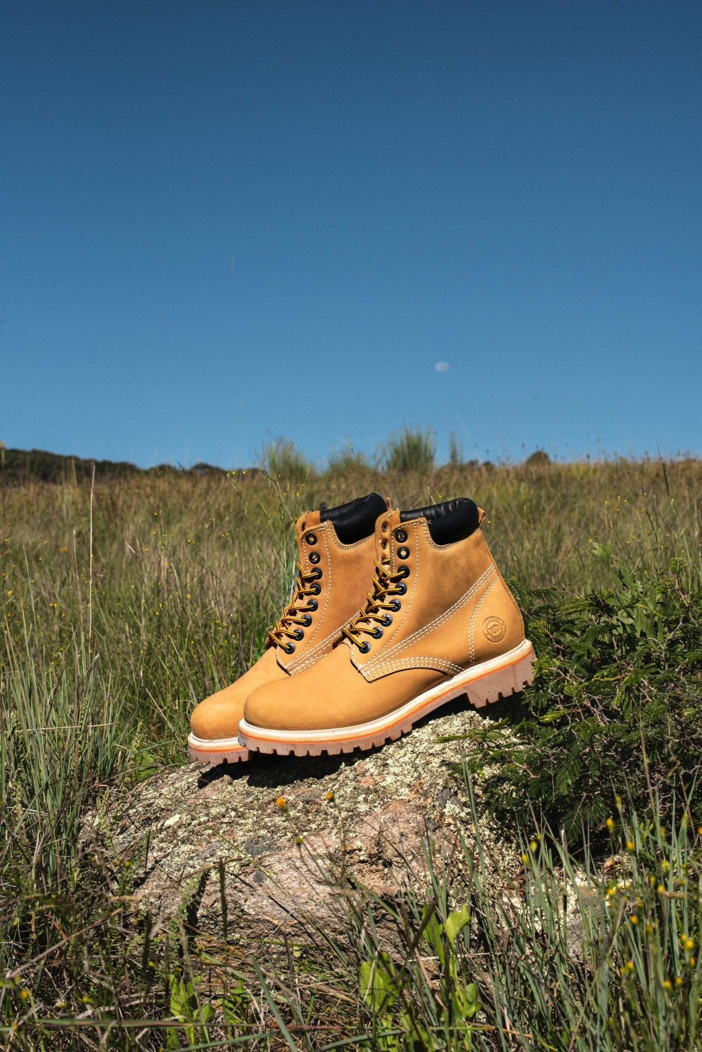 SIETELEGUAS HAIKER 2415 TRIGO - PACHECO BOOT CO